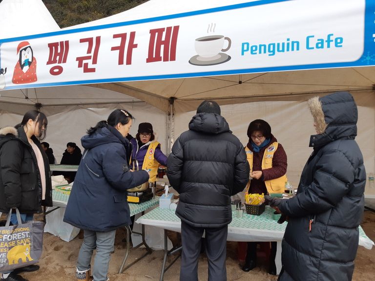 제19회 서귀포 겨울바다 국제 펭귄수영대회