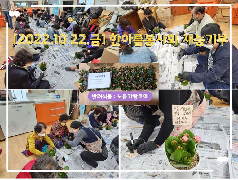 [2022.10.21.금] 농촌마을 어르신 반려식물 나눔 활동