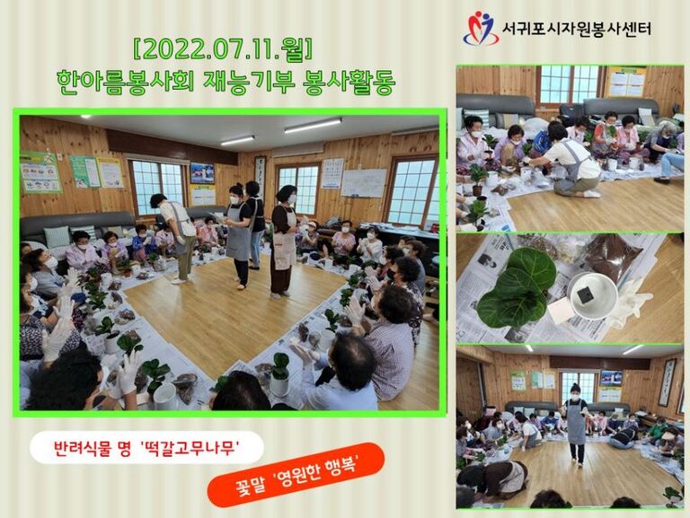 [2022.07.11.월] 농촌마을 어르신 반려식물 나눔 활동