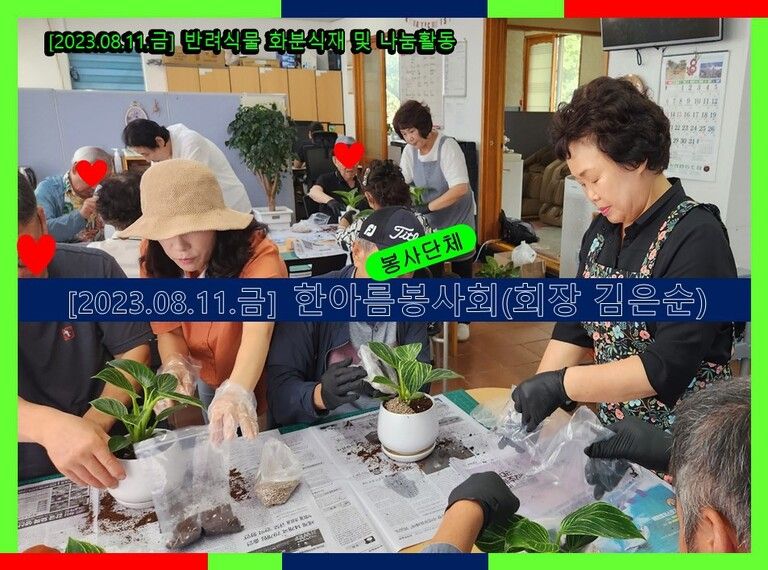 [2023.08.11.금] 반려식물 화분식재 및 나눔활동