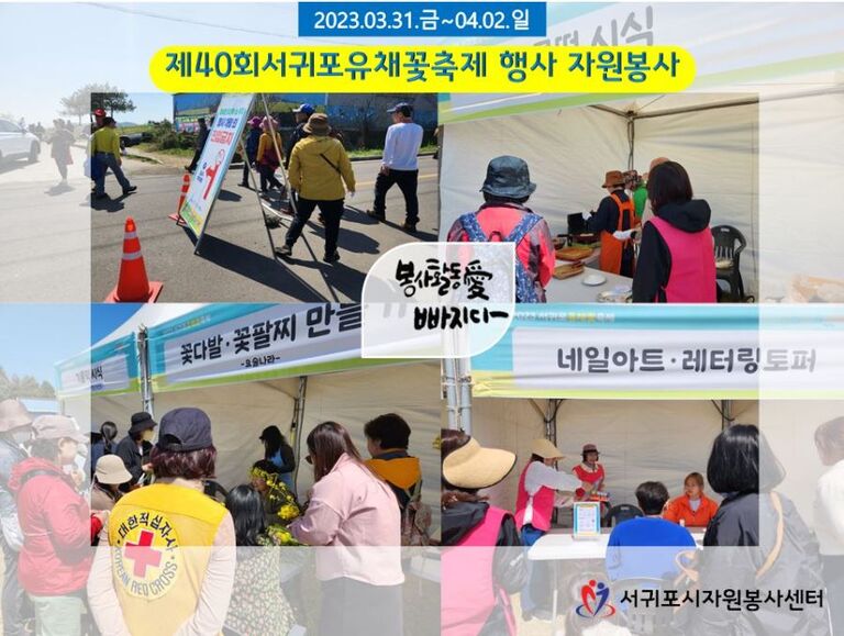 [2023.03.31.금~04.02.일] 제40회서귀포유채꽃축제 행사 봉사활동